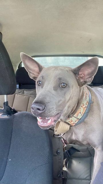 Девочка в тренде )