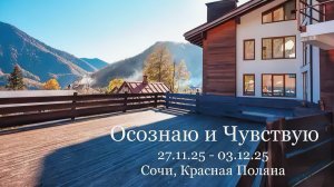 Высшие силы, Ирина Лосева и К       Ретрит на Красной поляне