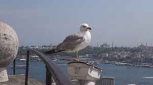 Стамбул Турция