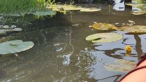 Евгений Балыков Пакрафтинг река Старая Сура.Балыков Евгений Дмитриевич.