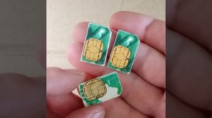 InShot_20250812_164049853