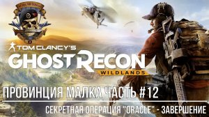 Tom Clancy's Ghost Recon wildlands Провинция Малка Часть #12 Секретная операция "ORACLE - Финал