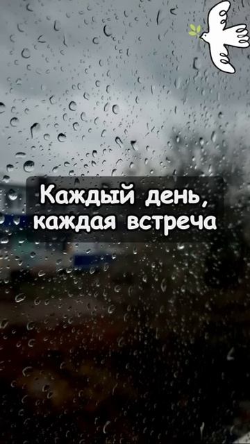 НЕ ЖДИ ИДЕАЛЬНЫХ УСЛОВИЙ. Преподобный Варсонофий Оптинский #молитва #любовь #старцы #жизнь