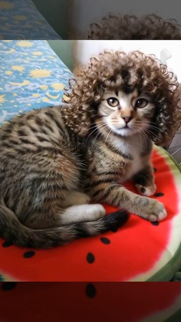 выпрыгивают кудри
ии смотреть онлайн