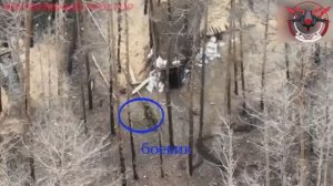 ❗🇷🇺⚔️🇺🇦⚡Работает спецназ: 16 обрСпН штурмует опорник ВСУ