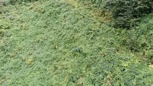 Дорога до водопада Поликаря и обратно