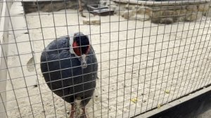 Выходные в парке "Лога"!