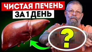 Чистая печень за 1 день