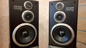Акустические колонки Aiwa SX-SF3