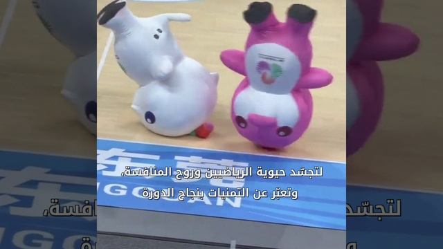 🐬✨ Маскоты 15-х Национальных игр Китая