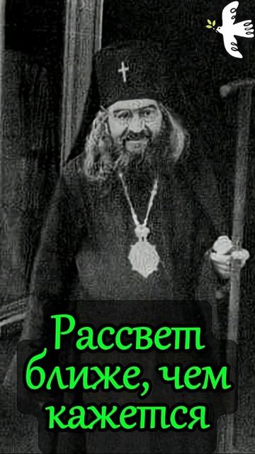 Не унывай. Святой Иоанн Шанхайский #молитва #люди #православныйцарь