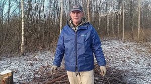 МУЖСКОЙ  ОТВЕТ дневнику Домоседа