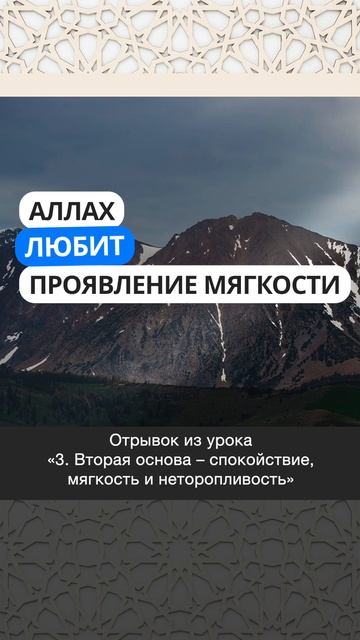 Аллах любит проявление мягкости | Марсэль абу Али #ислам #коран #сунна #нрав #намаз #духовность #мир