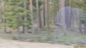 Карелия. Трасса Е105