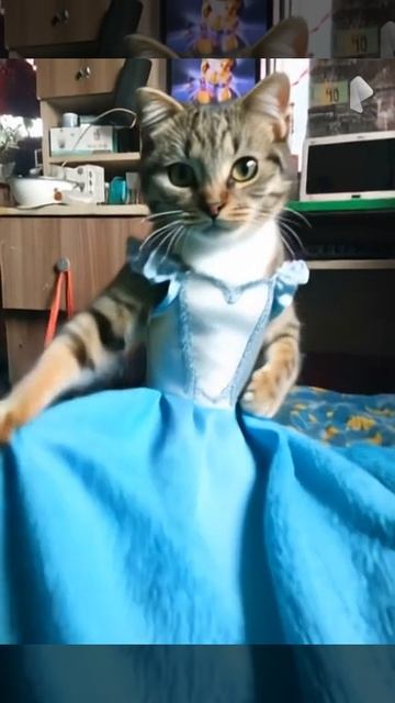 Настоящая принцесса ии смотреть онлайн