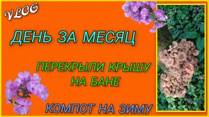 🍒Дети сходили за грибами/ День за месяц прошёл, перекрыли крышу/ Покупки в автолавке/Компот на зиму