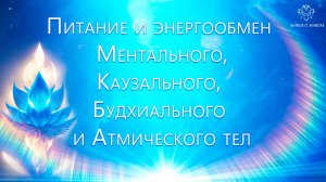 Питание и энергообмен Ментального, Каузального, Будхиального и Атмического тел