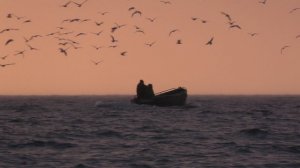 Рыбаки ловят пузанок (сельдь) и сарган