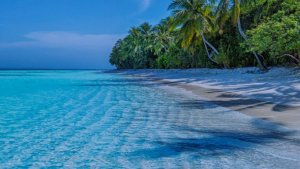 VA - Seaside Chill - Lounge & Relaxing Music (2025)