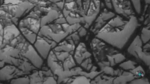 Автор песни «У тебя на ресницах» группы «Мой Двор» — Батурин Андрей Михайлович.