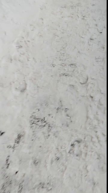 BACKROOMS ВЫЖИВАНИЕ#12