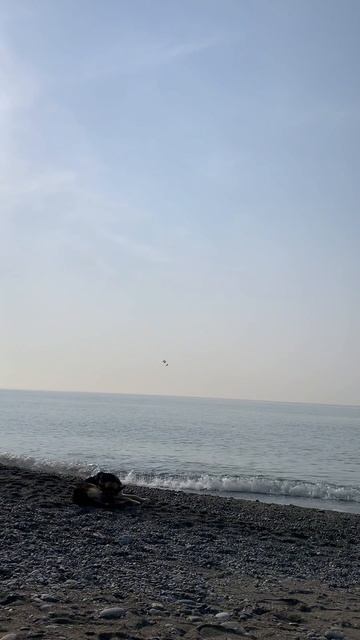 Мой двенадцатый день в санатории Аквалоо г. Сочи смотреть онлайн