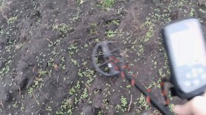 По старым местам с Nokta Triple Score