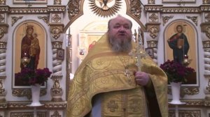 16.11.2025 г. Проповедь протоиерея Сергия Чибисова  Свято-Митрофановский храм село Верхний Мамон.