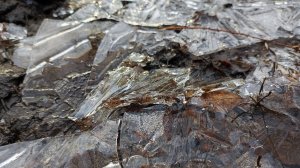 Первый лёд 16-11-2025