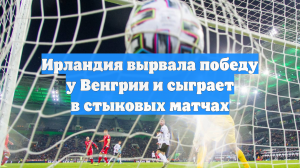 Ирландия вырвала победу у Венгрии и сыграет в стыковых матчах