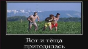 Юмор между дел )