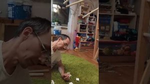 играем в лото дома