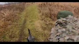 свина оборотня (в гуся)взяли под Изюмском