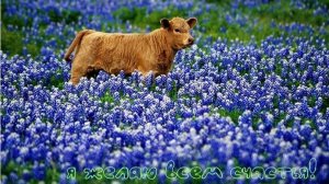 Молитва за мир во всем мире! Live 16.11.2025