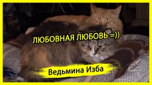 ЛЮБОВНАЯ ЛЮБОВЬ =)). ВЕДЬМИНА ИЗБА ▶️ ИНГА ХОСРОЕВА