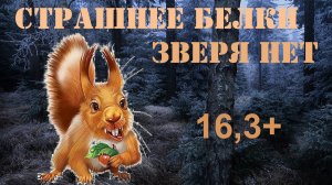 16,3+  Страшнее белки зверя нет