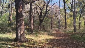 Керчь. Осень, сад, ул. Заречная, речка 16.11.25