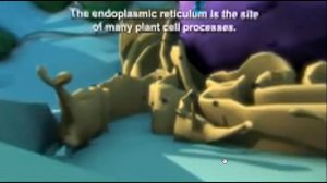 Листовой опад. Какова его ценность и почему его не едят жвачные животные