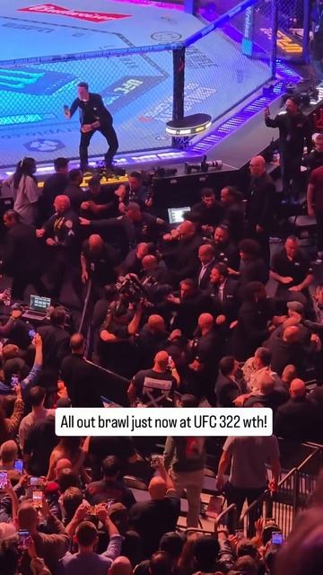 Суета на турнире UFC 322