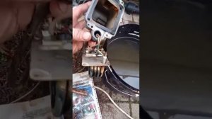 вот такая опа.