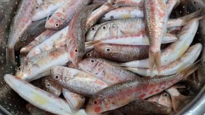 Жарим барабулю! Это очень вкусно,быстро и полезно!