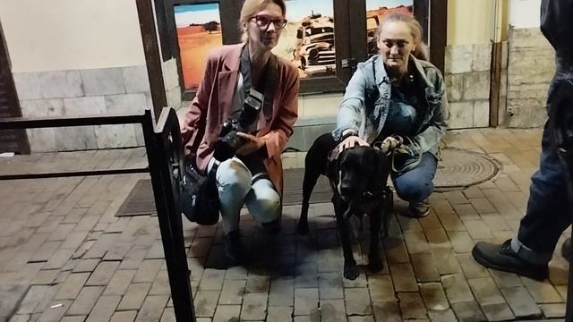 Моя Жизнь Кино @ Музей Псов смотреть онлайн