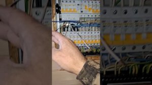 1000040236.mp4 (Собака смотрит на монтаж электропроводки (подключен. 3-х ф. розетки) в доме А-фрейм)