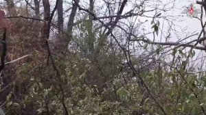 VID_20251116_082239_229.mp4