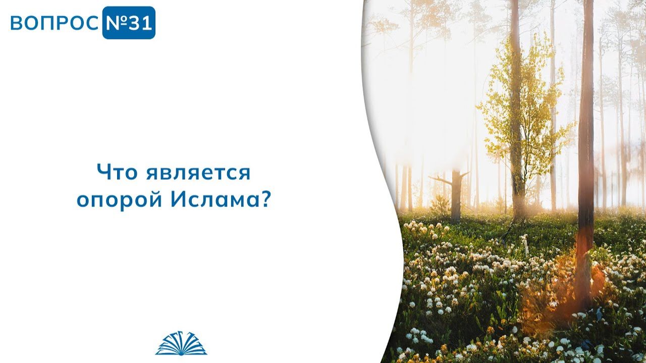 Вопрос № 31. Что является опорой Ислама? | Абу Яхья Крымский смотреть онлайн