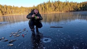 ПЕРВЫЙ ЛЁД 2025-2026. РЫБАЛКА ПО ПЕРВОМУ ЛЬДУ. БЕШЕННЫЙ КЛЁВ КРУПНОЙ РЫБЫ. УСПЕЛ НА ПЕРВОЛЕДЬЕ