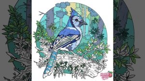 Бонус 2281-2290