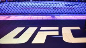 Бойцы из команды Хабиба подрались с секундантом Макгрегора на UFC 322