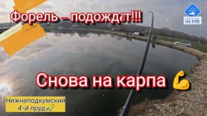 Ловим карпа в НОЯБРЕ🎣. Нижнеподкумский 4-й пруд. Ставропольский край