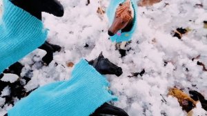 Шляйх сериал :"Путь". Часть восьмая : "особенный "